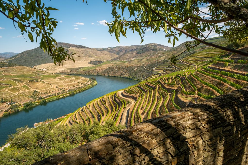 This image has an empty alt attribute; its file name is Douro-valley-1024x683.jpg